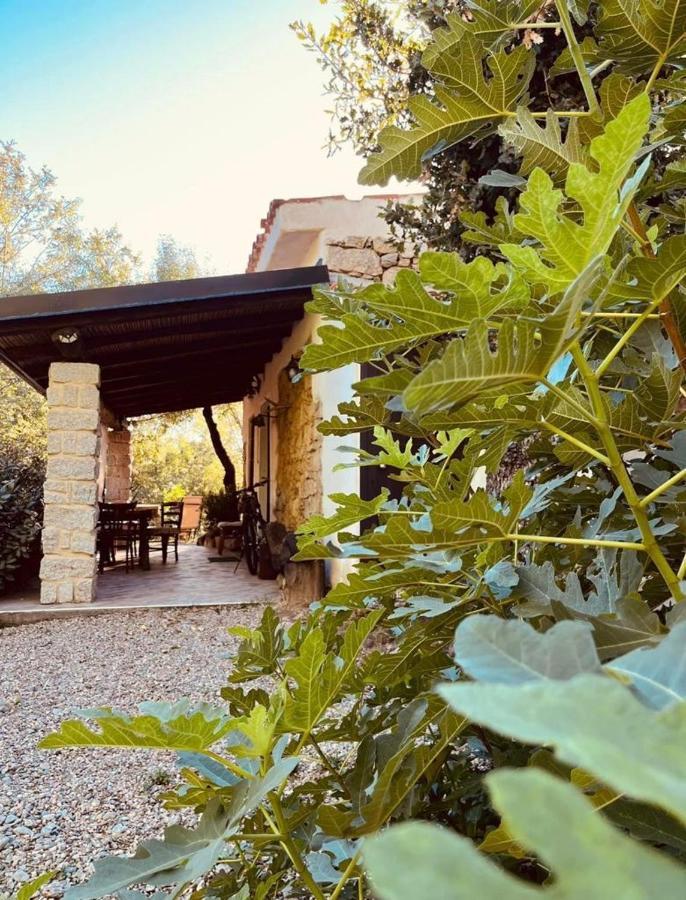 Ovostolai Cottage フォンニ エクステリア 写真