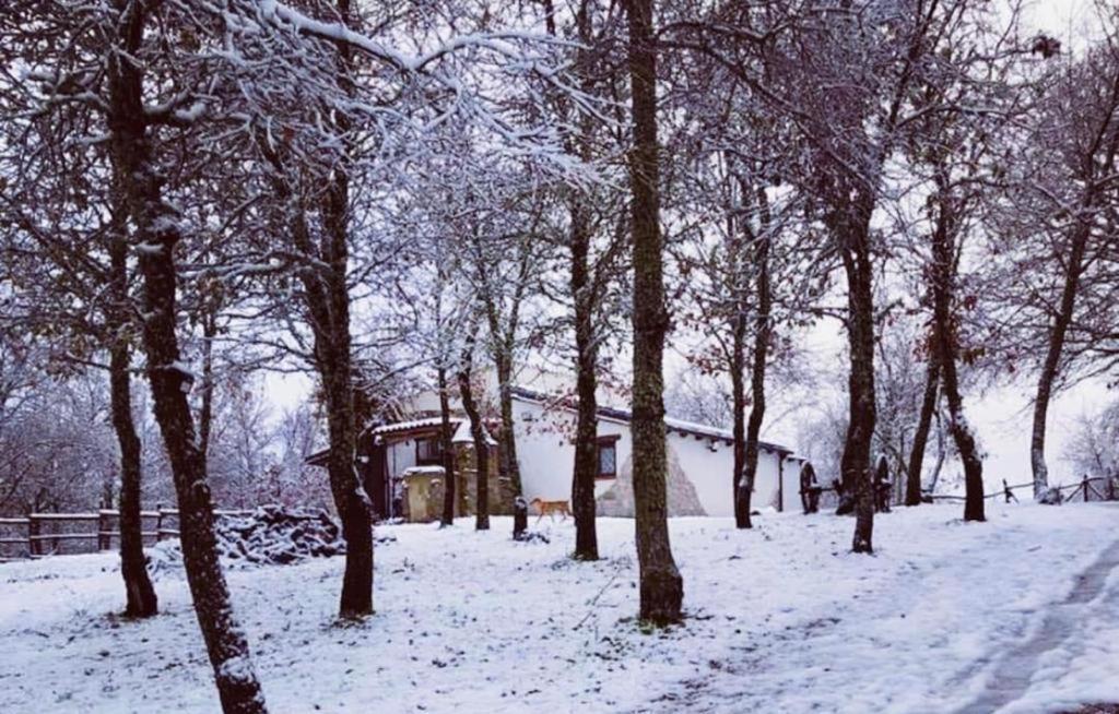 Ovostolai Cottage フォンニ エクステリア 写真